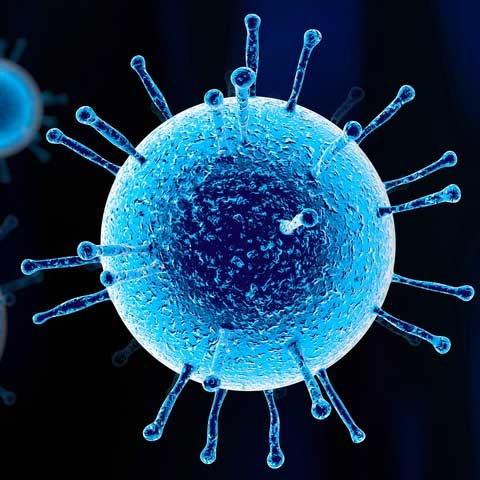 Coronavirus Hong Kong